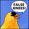 False Knees